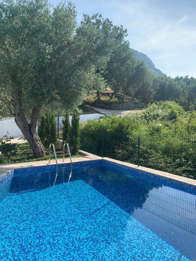 Green Villa In Olives Bar Exterior photo